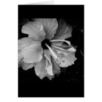 Hibiscus cards by dinatemraz Hibiscus cards