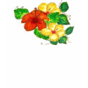 Hibiscus Cluster Cami t-shirts by TeriMonique Hibiscus Cluster Cami t-shirts