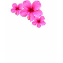 Hibiscus Cluster t-shirts by SeaAngel Hibiscus Cluster t-shirts