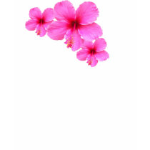 Hibiscus Cluster t-shirts