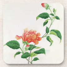 Hibiscus Coasters