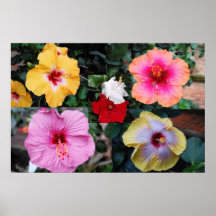 Hibiscus Collage Print