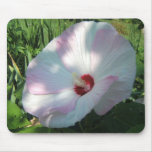Hibiscus 'Disco Bell' ~ mousepad