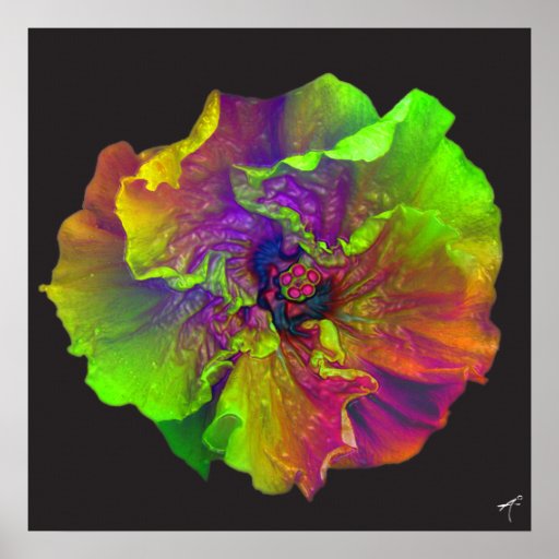 Hibiscus/Double Print
