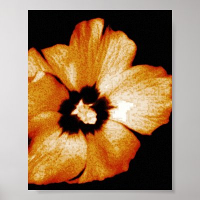 Hibiscus Flower 3 Poster by loudesigns I have this set on the biggest size