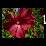 Hibiscus Flower and Blue Sky Card