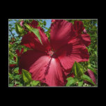 Hibiscus Flower and Blue Sky Postcard