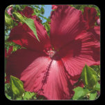 Hibiscus Flower and Blue Sky Sticker