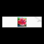 Hibiscus Flower Art bumper stickers
