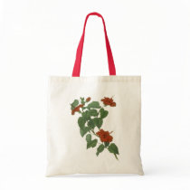 Hibiscus Flower Botanical Drawing Tote Bag