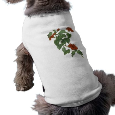 Hibiscus Flower Botanical Drawing Pet Clothing by SolPacifico