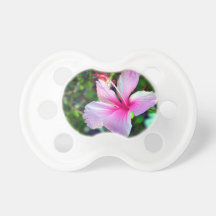 Hibiscus flower bright pink against green pacifier