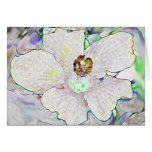 Hibiscus Flower Card