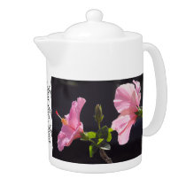 Hibiscus Flower in Profile