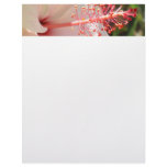 Hibiscus Flower Letterhead