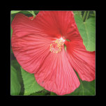 Hibiscus Flower Magnet