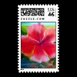 Hibiscus Flower Painting Postage Stamps stamps