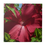 Hibiscus Flower Tile