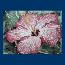 hibiscus flower watercolor painting art gift posters