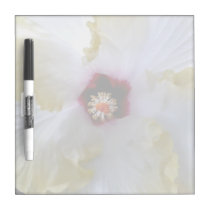 hibiscus flower white yellow center picture dry erase boards