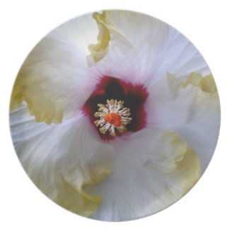 hibiscus flower white yellow center picture party plates