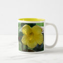 hibiscus, Good Morning, Sunshine mugs