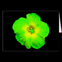 Hibiscus: Green & Yellow "Ultraviolet Glow" cards
