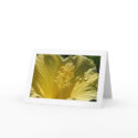 Hibiscus Greetings cards