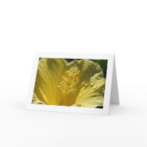 Hibiscus Greetings cards by mlane53 Hibiscus Greetings cards