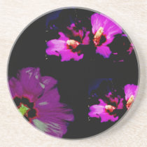 Hibiscus Hawaii Party Coaster