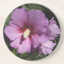 Hibiscus Hawaii Party Coaster 10