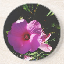 Hibiscus Hawaii Party Coaster 2