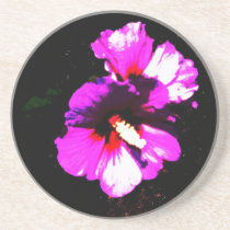 Hibiscus Hawaii Party Coaster 4