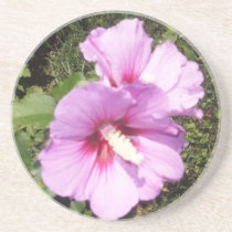 Hibiscus Hawaii Party Coaster 8