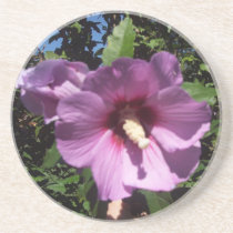 Hibiscus Hawaii Party Coaster 9