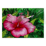 Hibiscus Hummingbird Card