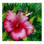 Hibiscus Hummingbird Print