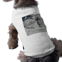 Hibiscus In sand pet clothing by Debrene Hibiscus In sand pet clothing