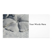Hibiscus In sand photo cards by Debrene Hibiscus In sand photo cards