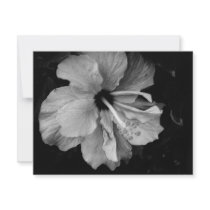 Hibiscus invitations by dinatemraz Hibiscus invitations