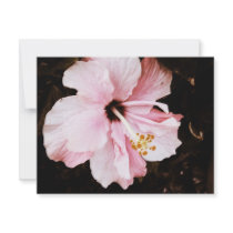Hibiscus invitations