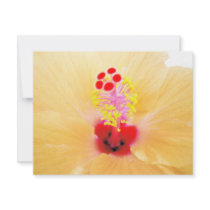 Hibiscus invitations