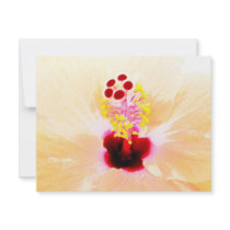 Hibiscus invitations