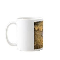 Hibiscus Juno Beach Florida Mug by Deedles_Dee Hibiscus Juno Beach Florida Mug