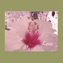 Hibiscus Love postcards