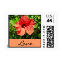 Hibiscus Love Stamp