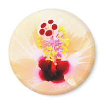 Hibiscus magnets
