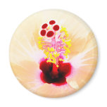 Hibiscus magnets