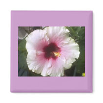 Hibiscus Magnet by lillianhibiscus Hibiscus Magnet