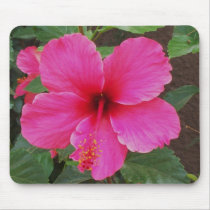 Hibiscus mousepads